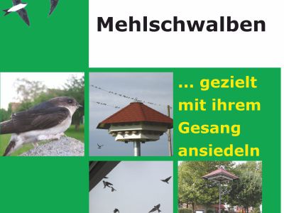 Mehlschwalben-Anlock CD, Beschallungsanlage, Klangattrape